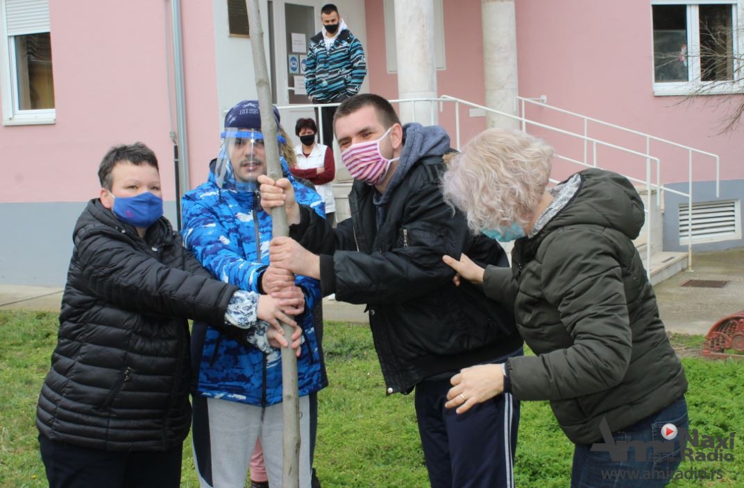 Dvadesetak novih stabala u Centru za pružanje usluga socijalne zaštite Kikinda