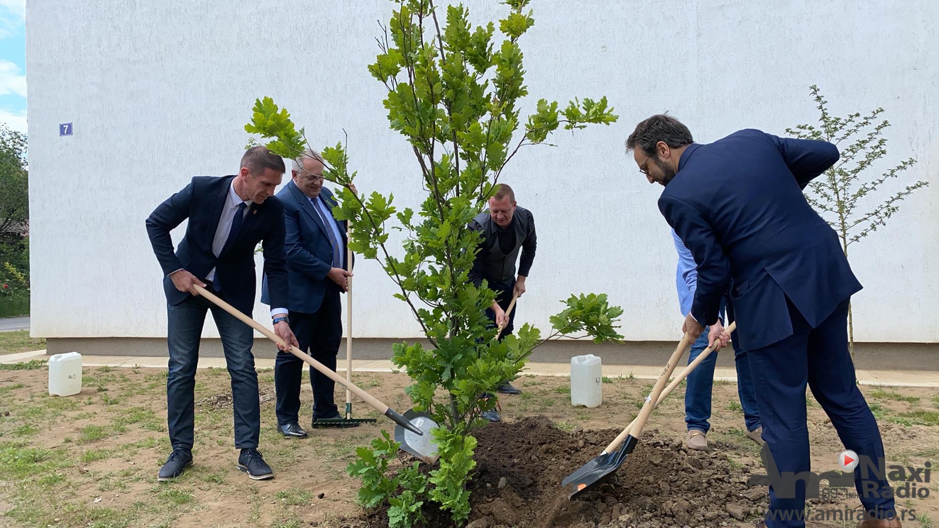 Kikinda deo kampanje “Zelena Srbija”: Posađene sadnice u Ulici Pere Segedinca