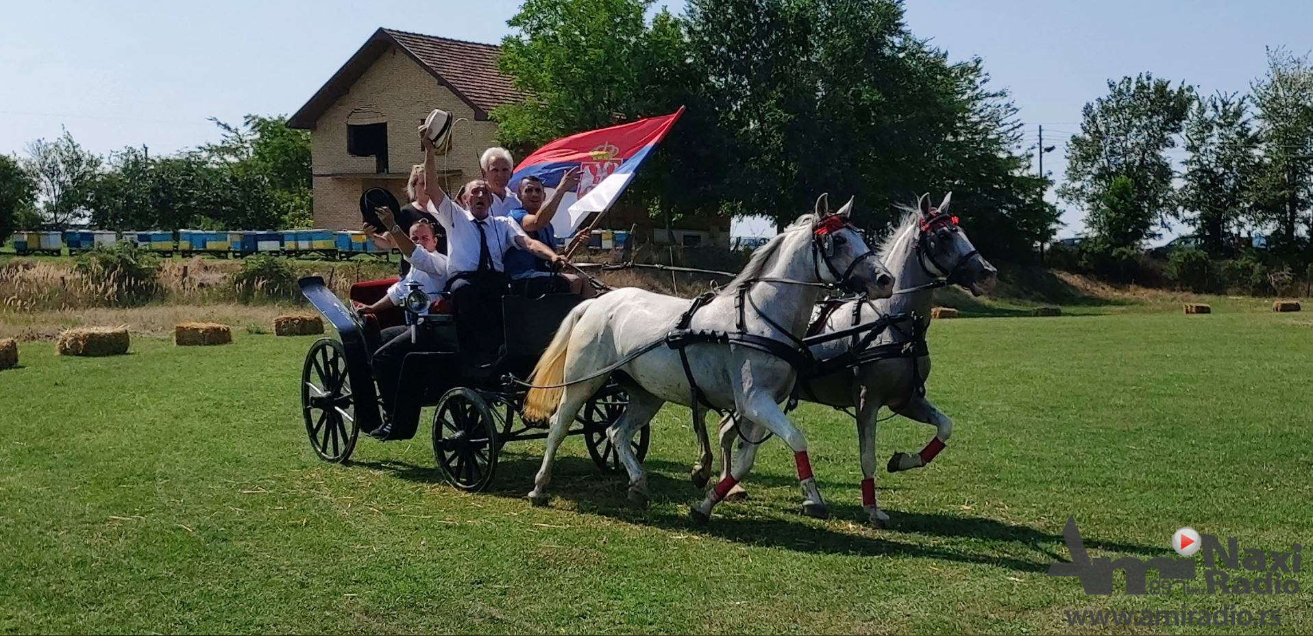 Četvrta Fijakerijada u Novim Kozarcima: Smotra konja i zaprega iz svih krajeva Vojvodine