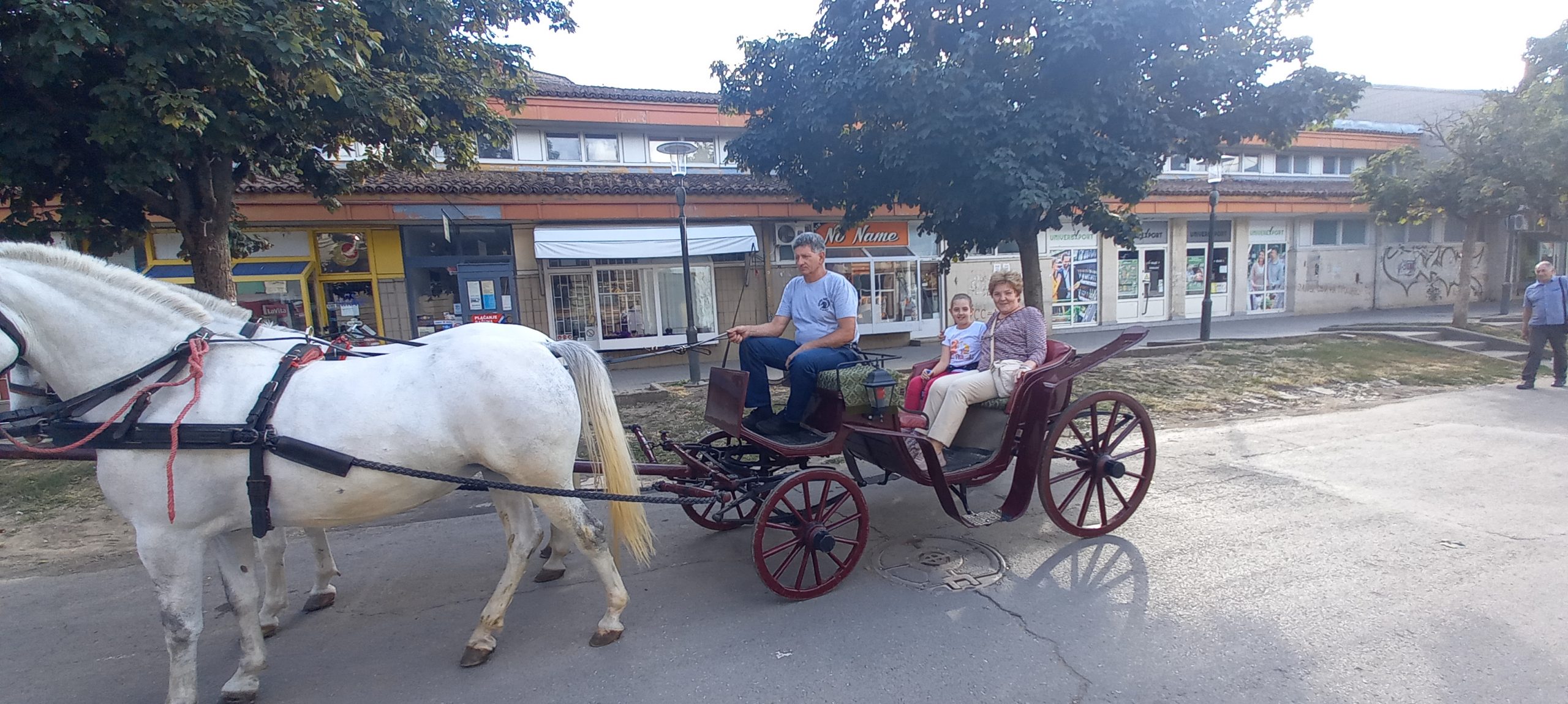 Dragica i unuka Lena prve se provozale:: Fijaker stari od danas Kikindom ponovo luta!