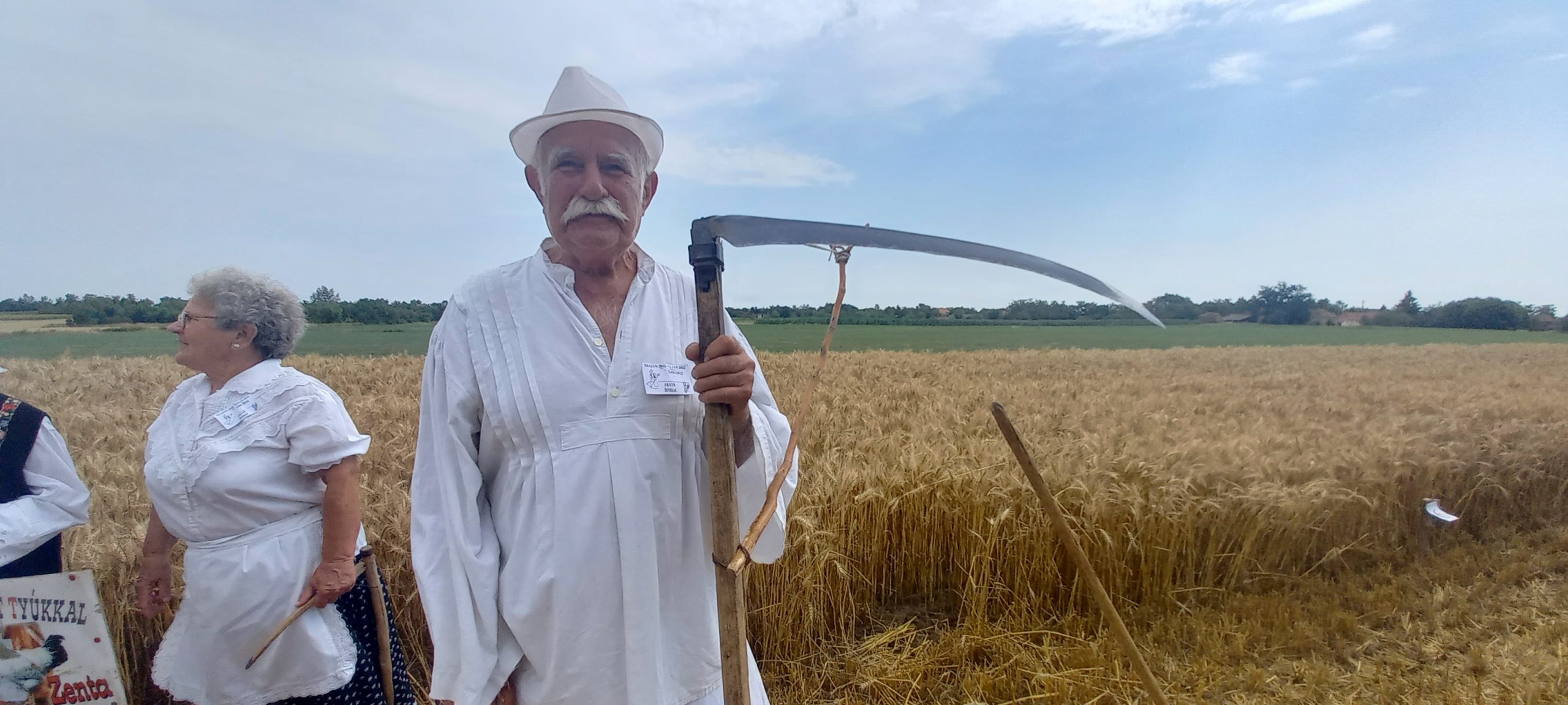 Četvrt veka ručne kosidbe žita: Ferenc (85) iz Sente je najstariji kosac, a radi kao da mu je 20 godina