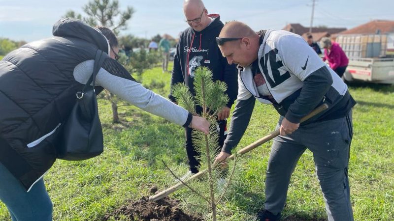 Ekološka akcija kompanije “Le Belier”: Radnici posadili 30 crnih borova