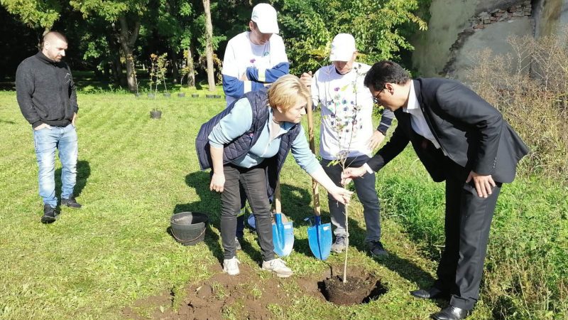Park u centru Velikog Sela uređen radnom akcijom