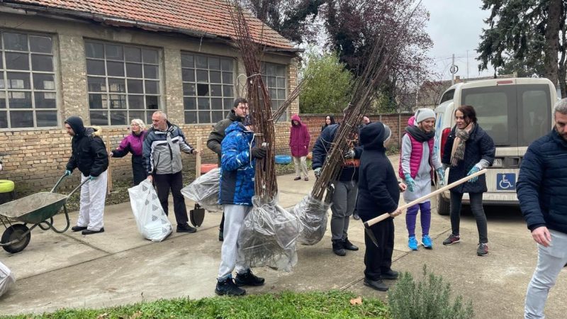 “Naša kuća” od AKT Fondacije dobila sadnice voća da oplemeni dvorište