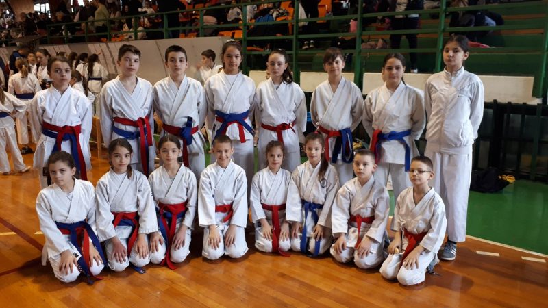 Karatisti „Feniksa“ osvojili osam medalja na Prvenstvu Vojvodine u Inđiji