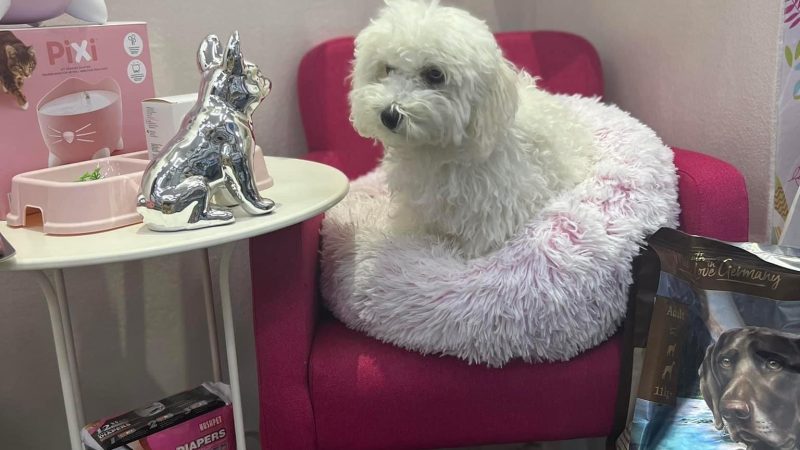 „Mila njuška“ u subotu slavi 4. rođendan: Popusti, pokloni i posluženje