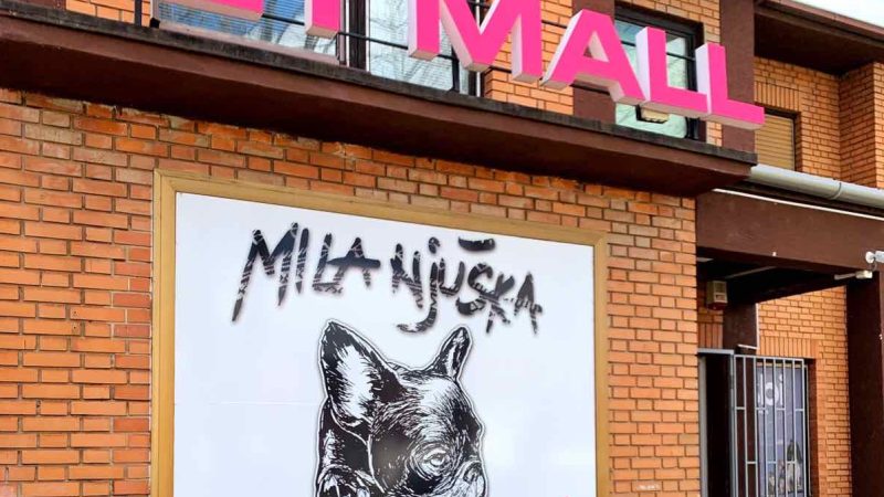 „Mila njuška“ u sredu slavi 7. rođendan: Kupce očekuju vaučeri, popusti i pokloni