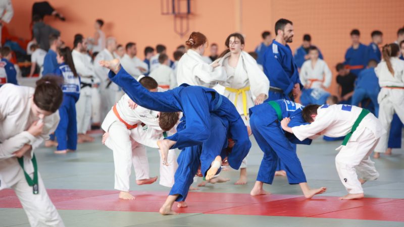 Međunarodni džudo kamp okupio oko 400 učesnika iz 11 zemalja