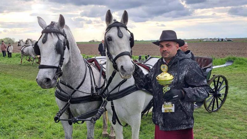 Fijakerijada u Crepaji: Pastuv Ivana Rakića najlepši na smotri