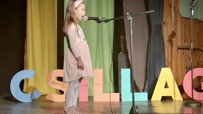 Udruženje „Kekend“ organizovalo takmičenje talenata „Mlade zvezde“