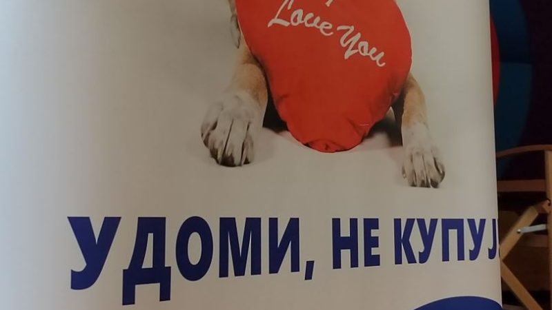 JP “Kikinda“ – Nastavak edukacije najmlađih o odgovornom vlasništvu