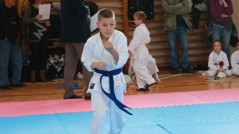 19. Međunarodni karate kup u Bašaidu