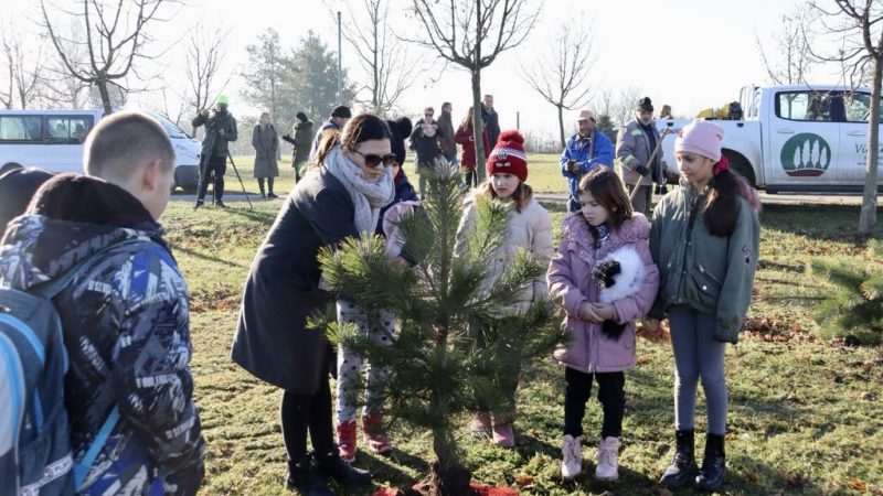 Deseta školska šuma posađena u Bašaidu