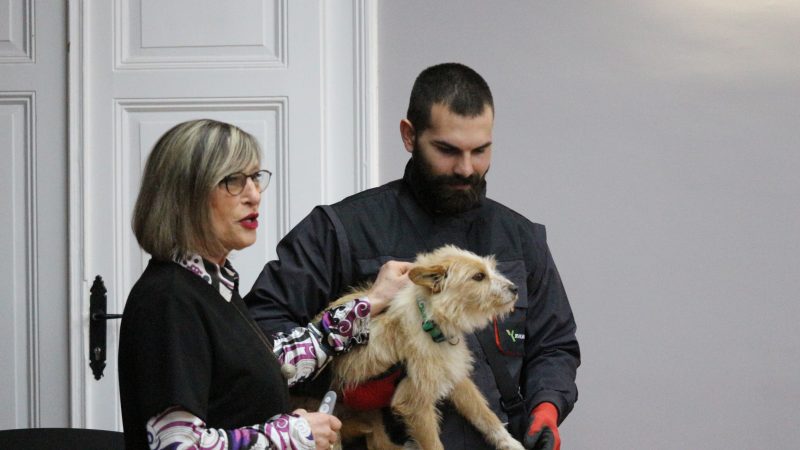 JP „Kikinda“ nastavlja edukaciju najmlađih o odgovornom vlasništvu