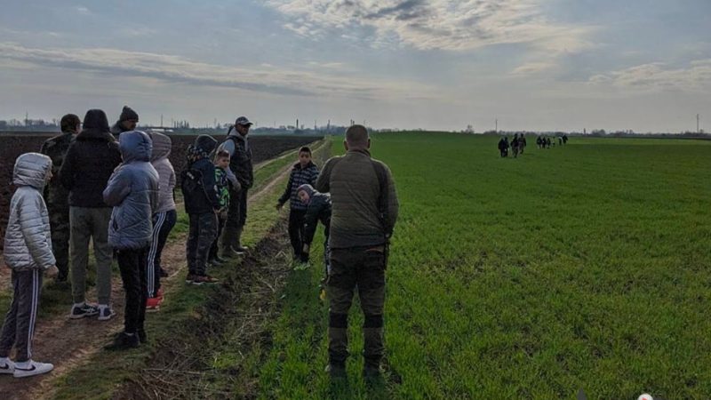Lovačko udruženje Kikinda organzivalo akciju brojanja zečeva
