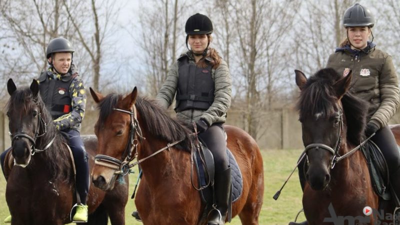 Počela nova sezona škole jahanja: Dobrodošli su svi stariji od 6 godina