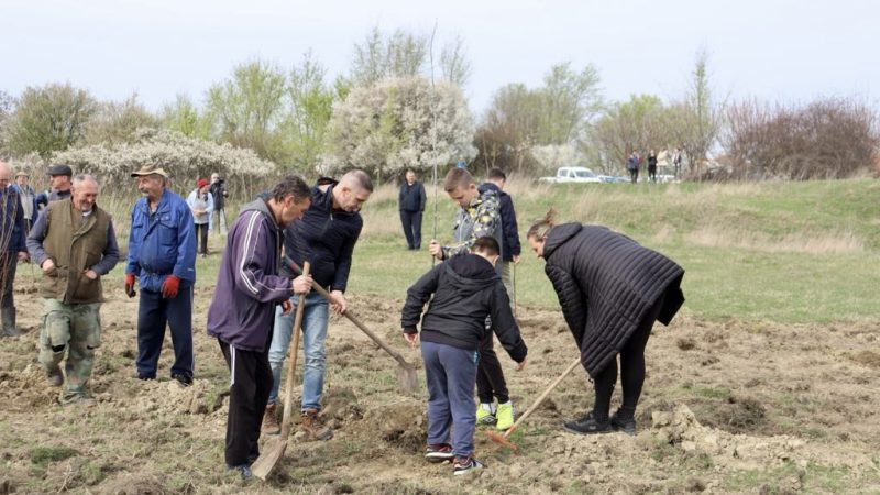 Akcija pošumljavanja u Kozarcima: Na imanju Lisović posađeno preko 200 stabala
