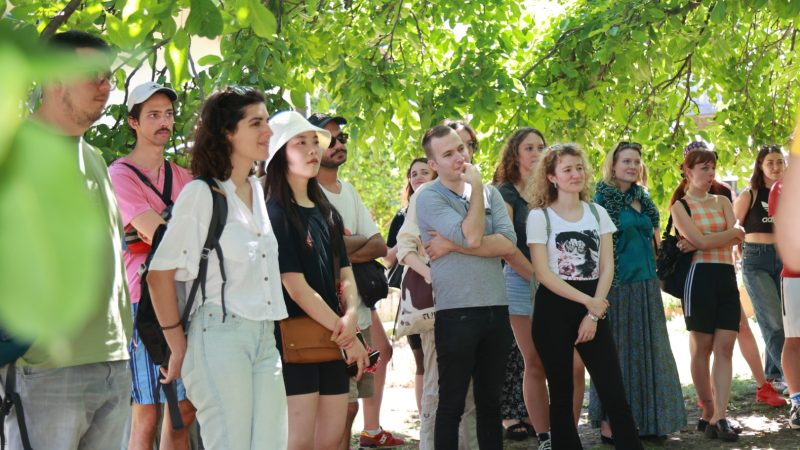 Letnja umetnička škola u Kikindi okupila 40 studenata iz zemlje i inostranstva