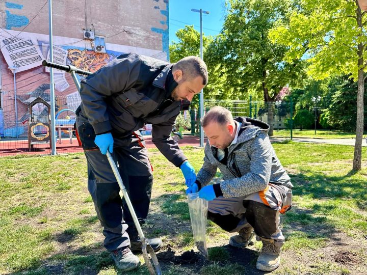 Uzorkovano zemljište u urbanim delovima grada radi hemijskih analiza