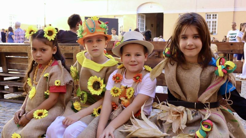 Više od 50 hiljada posetilaca na jubilarnim Danima ludaje