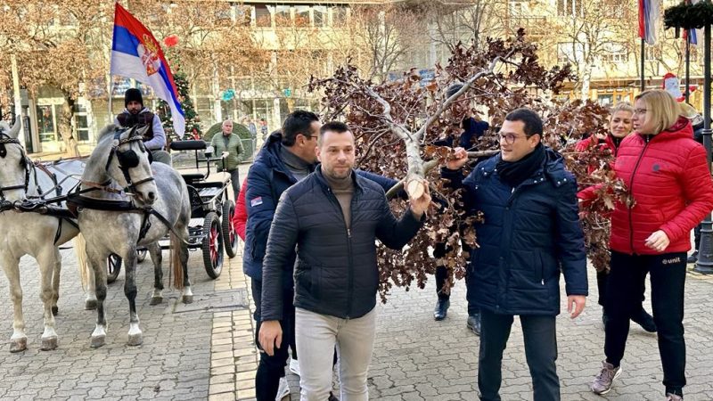 Danas se obeležava Badnji dan: Badnjak svečano unet u Gradsku kuću