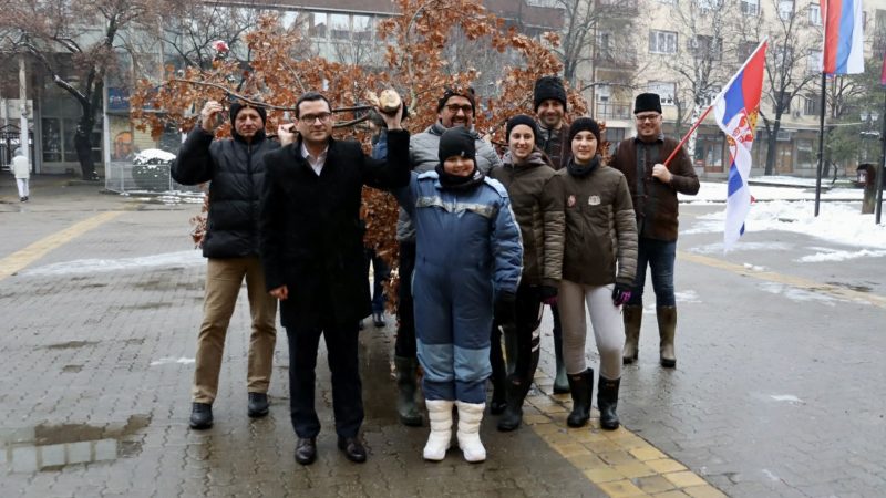 Danas je Badnji dan: Badnjak unet u Gradsku kuću