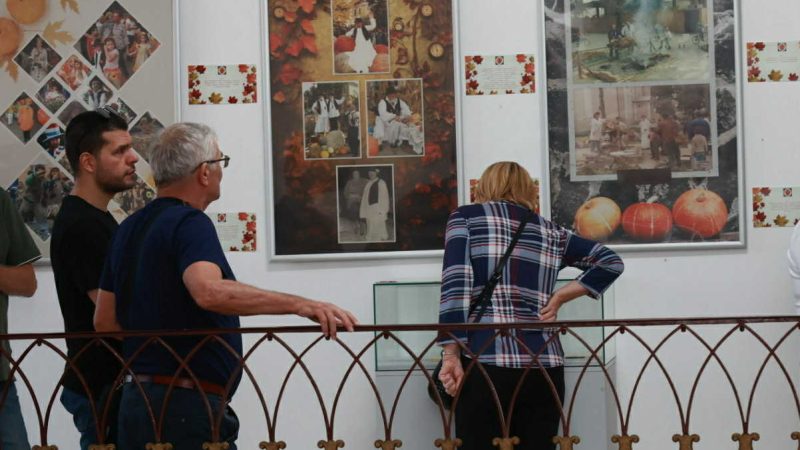 U holu Arhiva otvorena izložba „Koreni Dana ludaje, od ideje do tradicije“