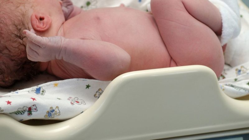 Radosne vesti: Kikinda bogatija za sedam beba