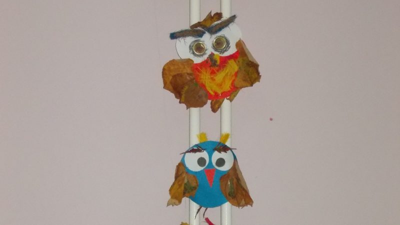 Edukativno-kreativna radionica „Sove moga kraja“ 16. novembra u CSU