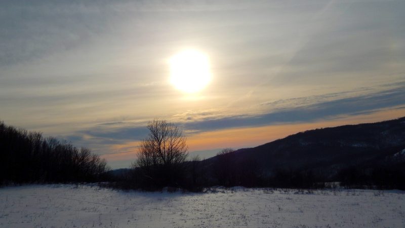 Divčibare – Planinska oaza za nezaboravan odmor