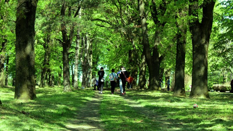 U sredu tretman suzbijanja krpelja: Preparat toksičan za pčele