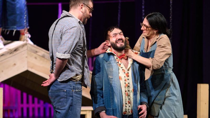 Februarski repertoar Narodnog pozorišta Kikinda