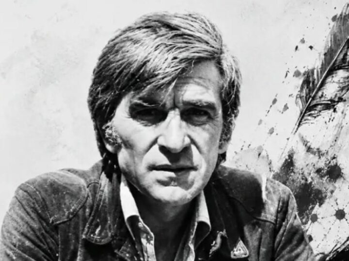 Festival TeraViva: Zabavno-edukativni program za decu, filmovi o Miki Antiću i muzički nastupi