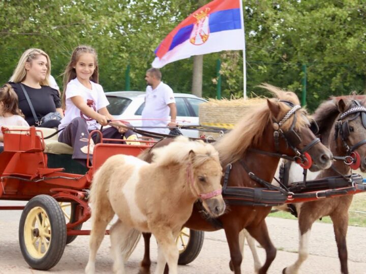 Revija paradnih zaprega u nedelju u Kikindi