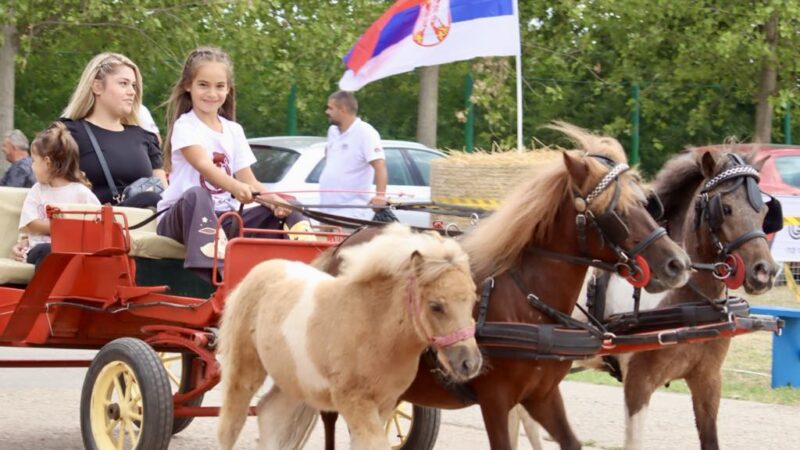 Revija paradnih zaprega u nedelju u Kikindi
